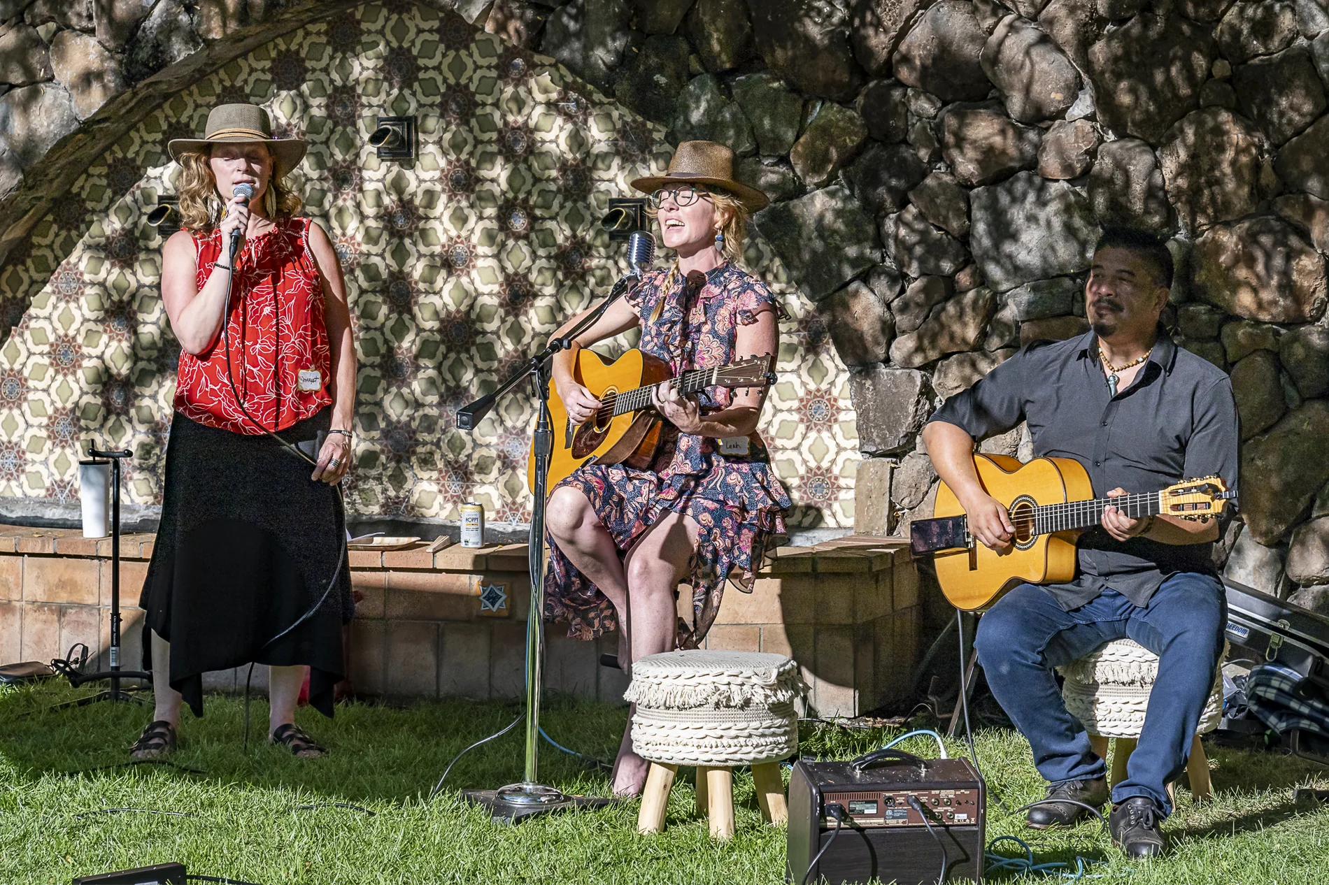 Musicians performing at Harvest of the Heart